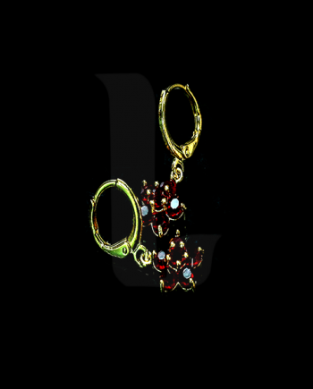 Red Golden Ear Rings