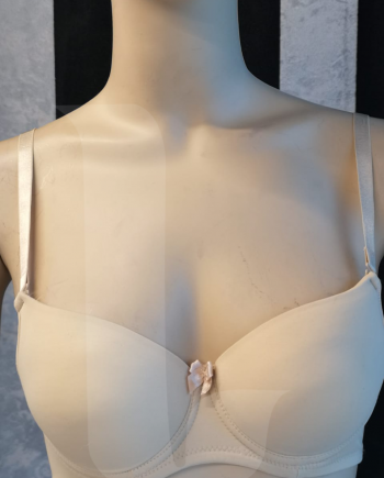 Padded T-Shirt Bra